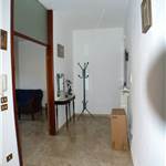 Apri Galleria Immagini