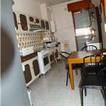 Apri Galleria Immagini