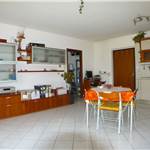 Apri Galleria Immagini