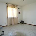 Apri Galleria Immagini
