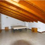 Apri Galleria Immagini