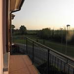 Apri Galleria Immagini