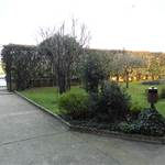 Apri Galleria Immagini