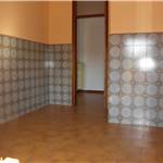 Apri Galleria Immagini