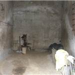Apri Galleria Immagini