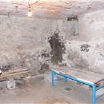 Apri Galleria Immagini