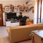 Apri Galleria Immagini