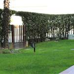 Apri Galleria Immagini