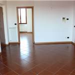 Apri Galleria Immagini