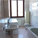 Apri Galleria Immagini