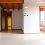 Apri Galleria Immagini