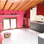 Apri Galleria Immagini