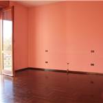 Apri Galleria Immagini