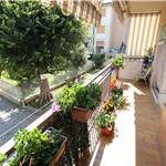 Apri Galleria Immagini
