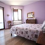 Apri Galleria Immagini