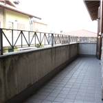 Apri Galleria Immagini