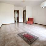 Apri Galleria Immagini