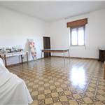 Apri Galleria Immagini