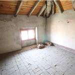 Apri Galleria Immagini
