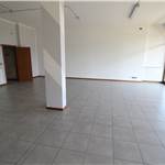 Apri Galleria Immagini