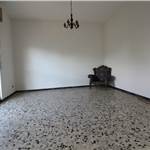Apri Galleria Immagini
