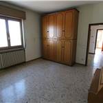 Apri Galleria Immagini