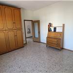 Apri Galleria Immagini