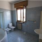 Apri Galleria Immagini
