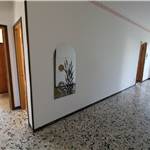 Apri Galleria Immagini