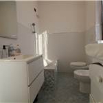 Apri Galleria Immagini